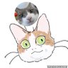 茶茶丸と銀太の日常 profil fotoğrafı