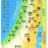 Фото профиля ابو القرني