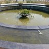 ranu15 的头像