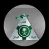 Фото профиля majed.m.m