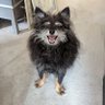 gravit's profile picture