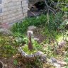 dzxgyumdsїь profil fotoğrafı