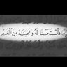 حلـم's profile picture
