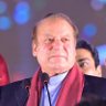 apna bajwa's profile picture