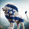 Yaron David profil fotoğrafı