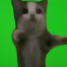 MrWhiskers's profile picture