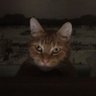 al.de.baran's profile picture
