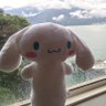Fengsuo Hu's profile picture