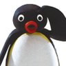 Profilbild von DJ
