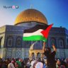 هالة فارس profil fotoğrafı