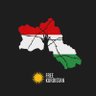 Фото профиля United States of Kurdistan, Initiative