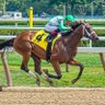 Don Bialokur profil fotoğrafı