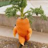 頑張れカバ君(今日の一歩は明日への一歩😃皆んなで歩もう全力坂😆) 的头像