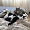 Siki profil fotoğrafı