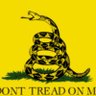 diamondback patriot's profile picture