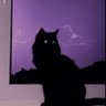 TAMTAM's profile picture