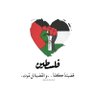 Mahmoud Zaki's profile picture