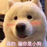 咻咻咻咻无人 profil fotoğrafı