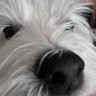 Profilbild von LV