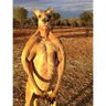 mr mike's profile picture