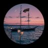 Trippin's profile picture