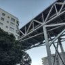 CpPatricio 的头像