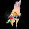 يحيا الأمل's profile picture