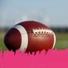 FootballLady 的头像