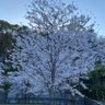Фото профиля はっしゃん