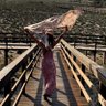 Ireene Almayda profil fotoğrafı