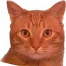 Profilbild von Punta