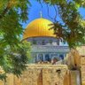 مؤمن جهاد's profile picture