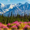 Фото профиля Alaskan