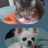 𓏲𓎨🐶千恵🐶𓏲𓎨 profil fotoğrafı