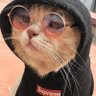Patty Lilla 🖤✨️ profil fotoğrafı