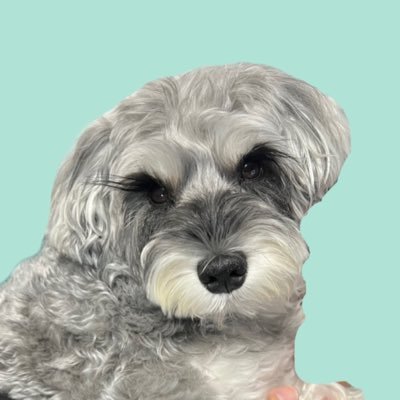 mini_MOZU's profile picture
