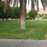Фото профиля ابوتركي