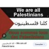 Insaf Rachida's profile picture