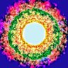 Al Ro's profile picture