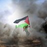 Profilbild von Lukepazz🇵🇸