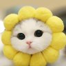 อาจุมม่า☀️🌻's profile picture