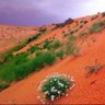 عبدالعزيز's profile picture