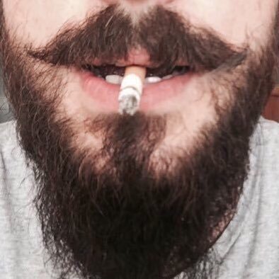 Morfoloji's profile picture