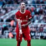 Фото профиля LFC Merchant