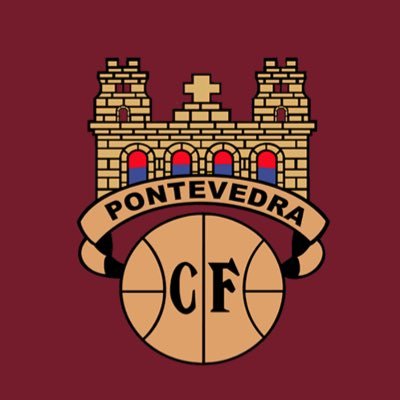 Pontevedra CF ๐ฆด's profile picture