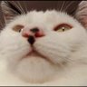 Théo profil fotoğrafı