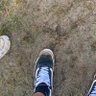 l's profile picture