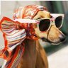 Makgoba Tumelo's profile picture