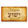 Jesus'Gal7 的头像