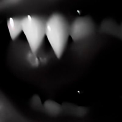 berry_bimbo's profile picture
